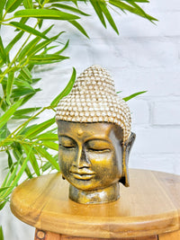Buddha Head